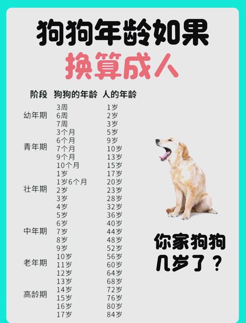 狗的寿命有多长,长寿狗的寿命有多长-第7张图片 狗的寿命有多长,长寿狗的寿命有多长-第7张图片