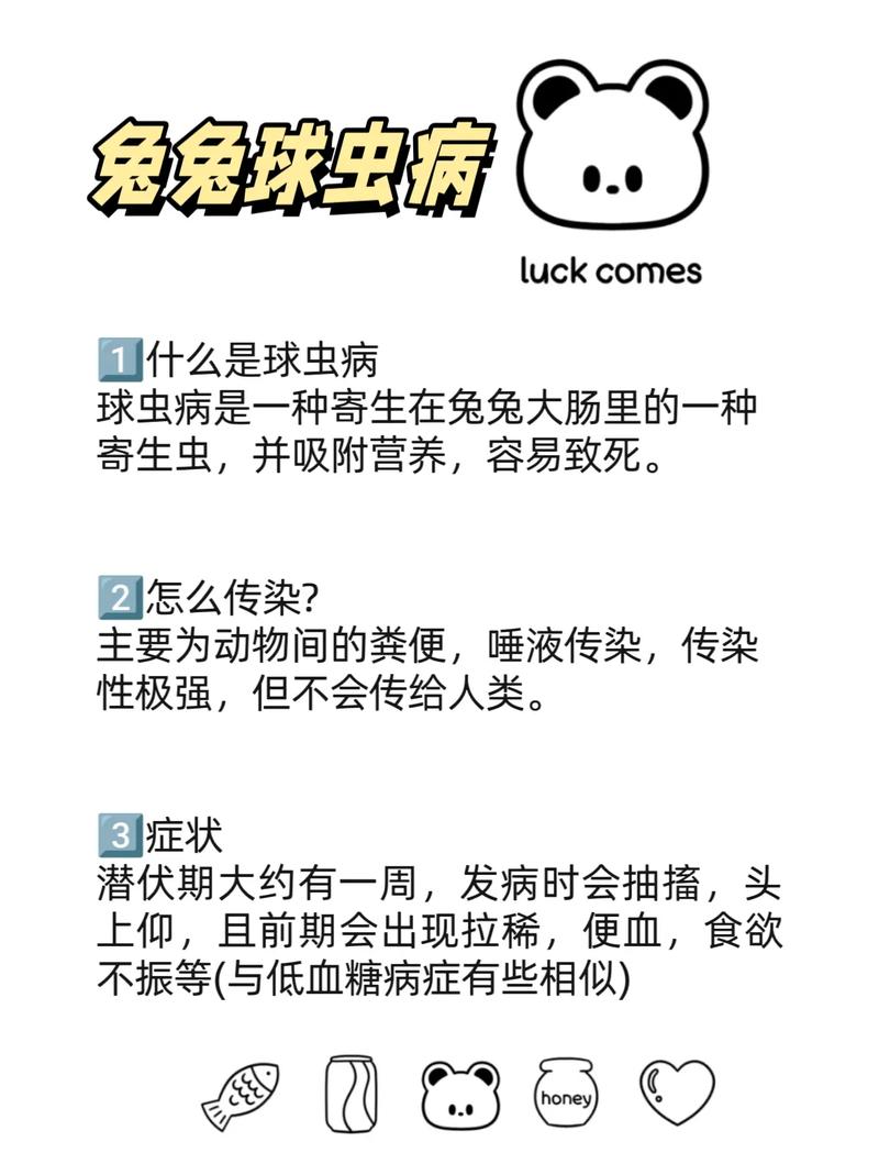 作为消费者“兔子怕什么”你不能不知道-第5张图片 作为消费者“兔子怕什么”你不能不知道-第5张图片