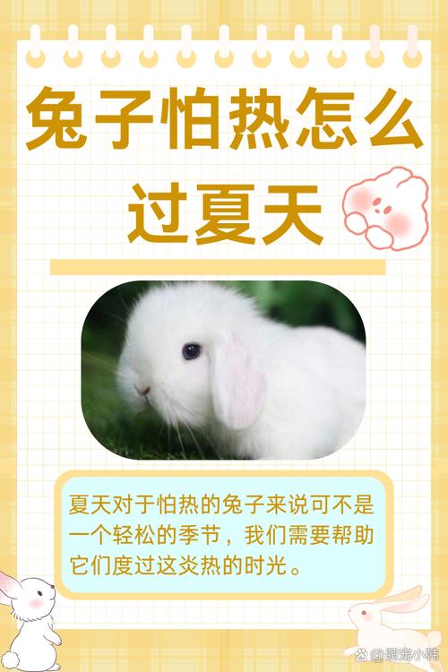 作为消费者“兔子怕什么”你不能不知道-第6张图片 作为消费者“兔子怕什么”你不能不知道-第6张图片