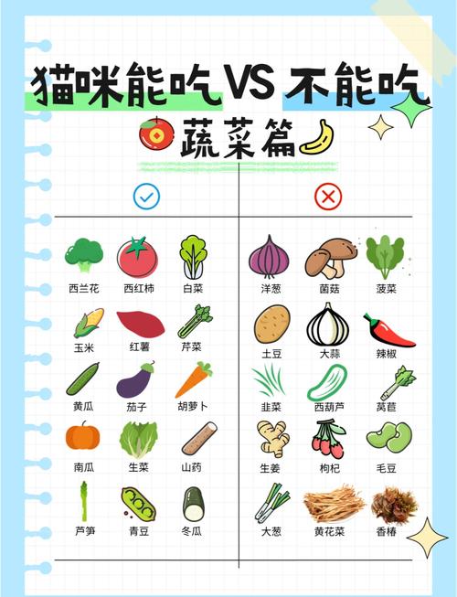 猫可以吃的蔬菜/猫最爱吃的蔬菜排名-第4张图片 猫可以吃的蔬菜/猫最爱吃的蔬菜排名-第4张图片