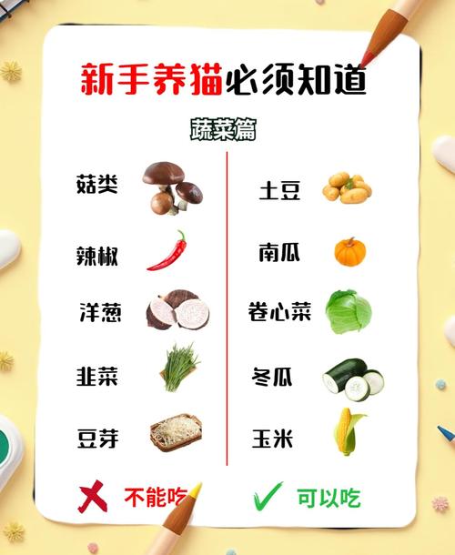 猫可以吃的蔬菜/猫最爱吃的蔬菜排名-第5张图片 猫可以吃的蔬菜/猫最爱吃的蔬菜排名-第5张图片