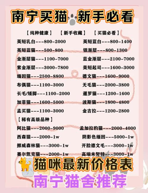 短毛波斯猫多少钱一只,短毛波斯猫费用多少钱一只-第4张图片 短毛波斯猫多少钱一只,短毛波斯猫费用多少钱一只-第4张图片