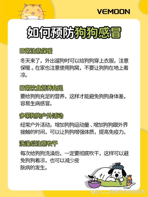 解析“狗狗感冒了可以吹空调吗”你不知道的事-第3张图片 解析“狗狗感冒了可以吹空调吗”你不知道的事-第3张图片