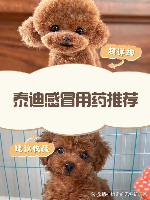 解析“狗狗感冒了可以吹空调吗”你不知道的事-第5张图片 解析“狗狗感冒了可以吹空调吗”你不知道的事-第5张图片