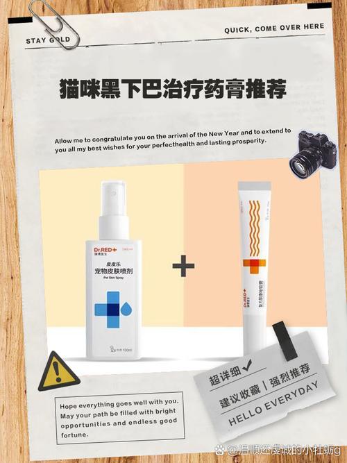 解析“猫咪黑下巴怎么治最快”你不知道的事-第1张图片 解析“猫咪黑下巴怎么治最快”你不知道的事-第1张图片