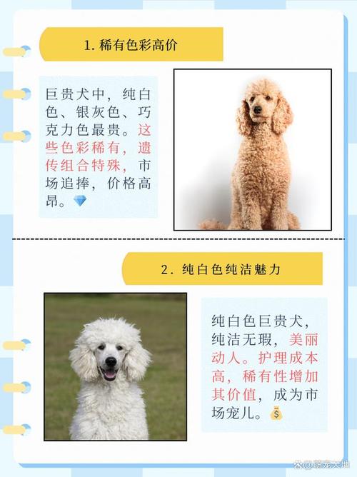 解析“巨贵颜色费用排名”你不知道的事-第4张图片 解析“巨贵颜色费用排名”你不知道的事-第4张图片