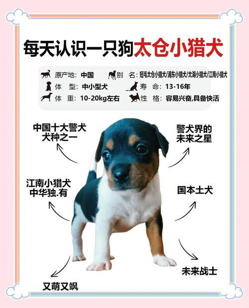 作为消费者“太仓猎犬”你不能不知道-第5张图片 作为消费者“太仓猎犬”你不能不知道-第5张图片