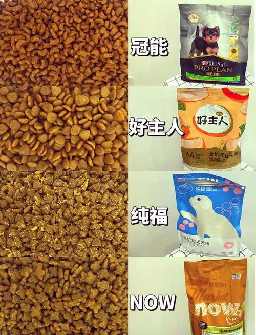 解析“七个月大金毛犬”你不知道的事-第5张图片 解析“七个月大金毛犬”你不知道的事-第5张图片
