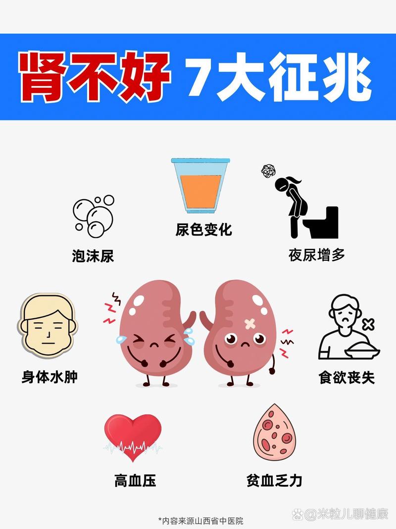 急性肾衰竭症状-急性肾衰竭症状可以活多久-第1张图片 急性肾衰竭症状-急性肾衰竭症状可以活多久-第1张图片