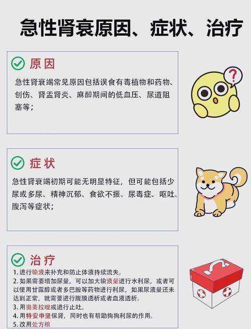 急性肾衰竭症状-急性肾衰竭症状可以活多久-第2张图片 急性肾衰竭症状-急性肾衰竭症状可以活多久-第2张图片
