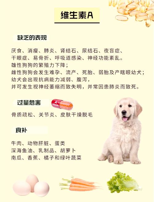 狗狗缺维生素的症状-狗狗缺维生素的症状吃什么-第6张图片 狗狗缺维生素的症状-狗狗缺维生素的症状吃什么-第6张图片