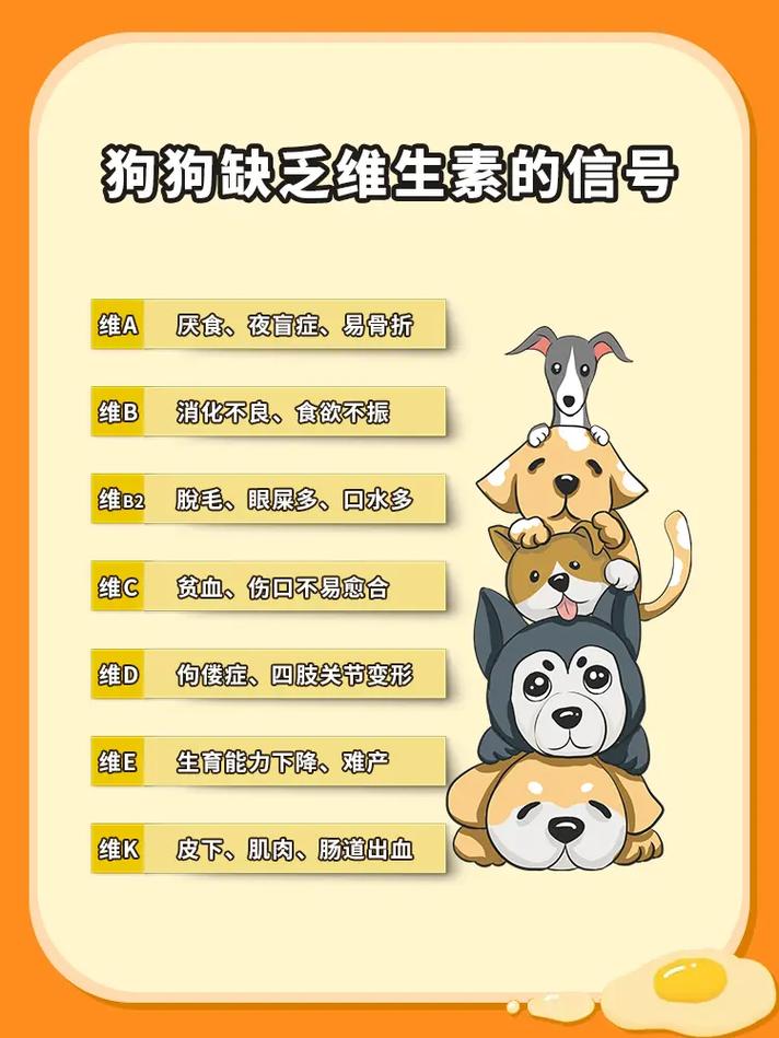 狗狗缺维生素的症状-狗狗缺维生素的症状吃什么-第7张图片 狗狗缺维生素的症状-狗狗缺维生素的症状吃什么-第7张图片