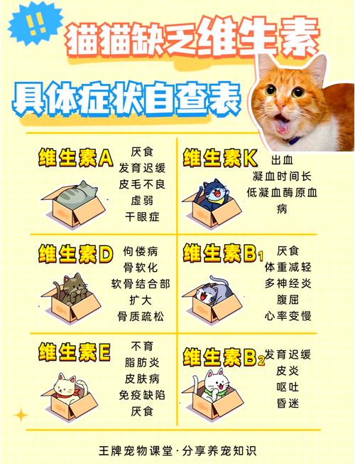 猫咪补充维生素b-猫咪补充维生素B的食物-第2张图片 猫咪补充维生素b-猫咪补充维生素B的食物-第2张图片