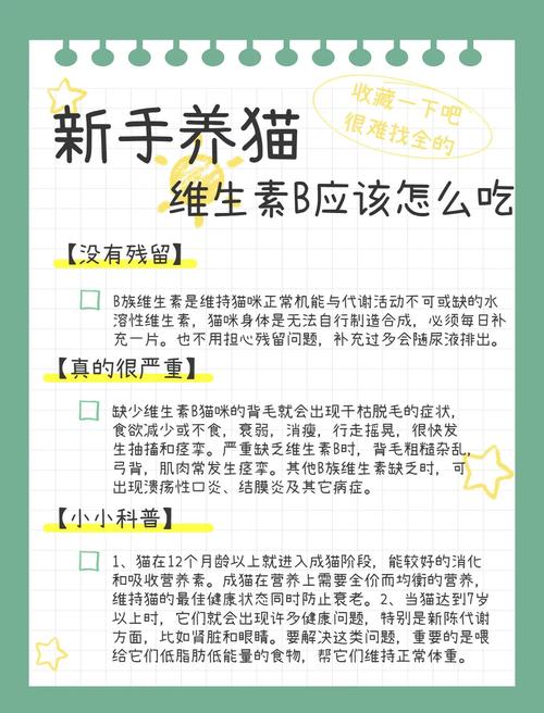 猫咪补充维生素b-猫咪补充维生素B的食物-第9张图片 猫咪补充维生素b-猫咪补充维生素B的食物-第9张图片