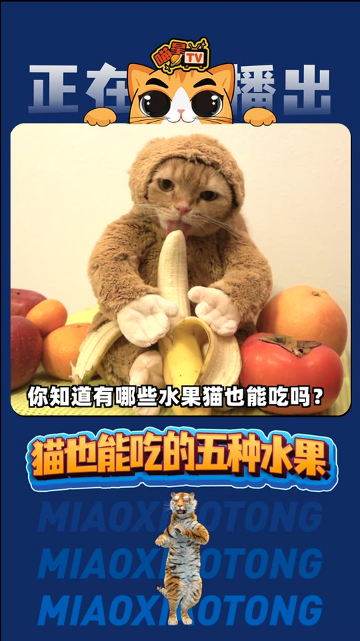 作为消费者“猫咪能吃蓝莓吗”你不能不知道-第4张图片 作为消费者“猫咪能吃蓝莓吗”你不能不知道-第4张图片