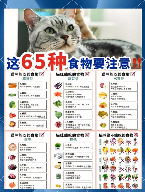 作为消费者“猫咪能吃蓝莓吗”你不能不知道-第6张图片 作为消费者“猫咪能吃蓝莓吗”你不能不知道-第6张图片