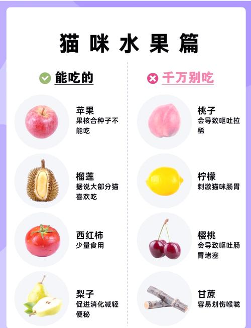 作为消费者“猫咪能吃蓝莓吗”你不能不知道-第7张图片 作为消费者“猫咪能吃蓝莓吗”你不能不知道-第7张图片