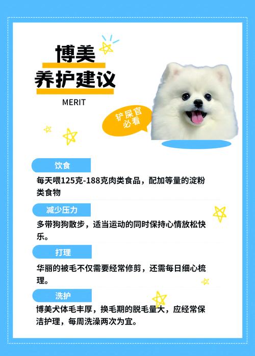 解析“俊介犬的特点”你不知道的事-第6张图片 解析“俊介犬的特点”你不知道的事-第6张图片