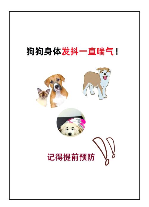 狗狗怀孕后期的症状-狗狗怀孕后期图片