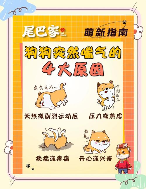 狗狗怀孕后期的症状-狗狗怀孕后期图片-第4张图片 狗狗怀孕后期的症状-狗狗怀孕后期图片-第4张图片