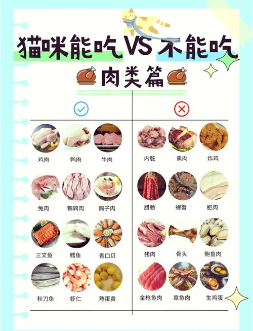 解析“猫咪除了猫粮还能吃什么”你不知道的事-第3张图片 解析“猫咪除了猫粮还能吃什么”你不知道的事-第3张图片