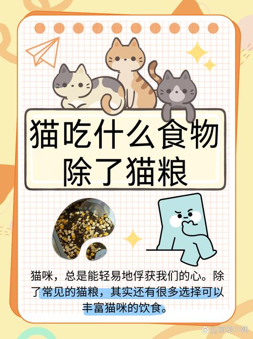 解析“猫咪除了猫粮还能吃什么”你不知道的事-第4张图片 解析“猫咪除了猫粮还能吃什么”你不知道的事-第4张图片