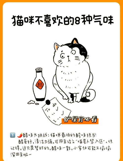 猫咪不喜欢什么气味,猫不喜欢什么气味赶走猫-第1张图片 猫咪不喜欢什么气味,猫不喜欢什么气味赶走猫-第1张图片