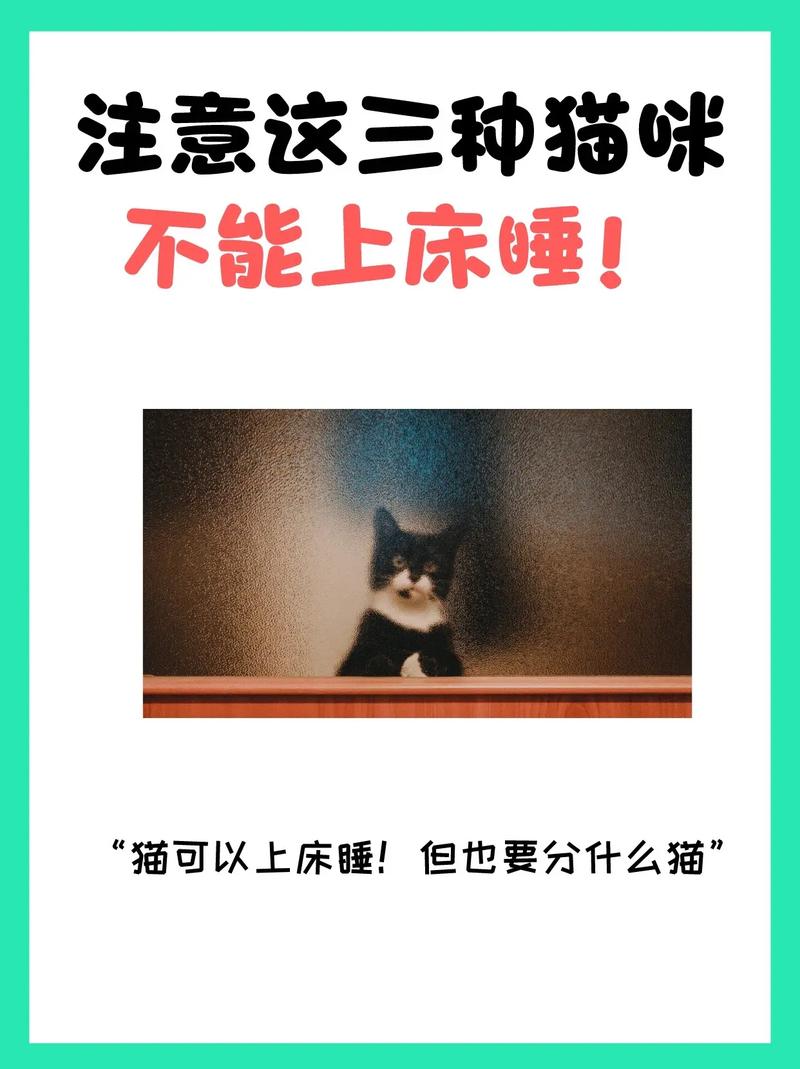 猫咪不喜欢什么气味,猫不喜欢什么气味赶走猫-第2张图片 猫咪不喜欢什么气味,猫不喜欢什么气味赶走猫-第2张图片