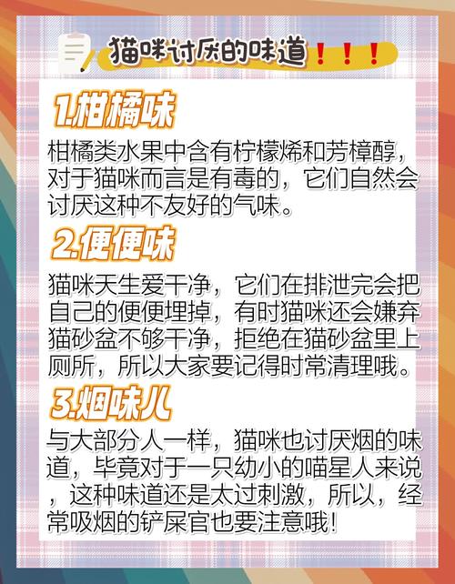猫咪不喜欢什么气味,猫不喜欢什么气味赶走猫-第6张图片 猫咪不喜欢什么气味,猫不喜欢什么气味赶走猫-第6张图片