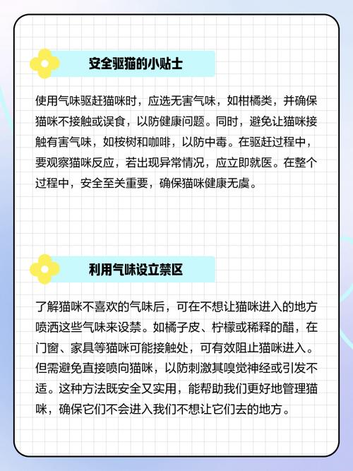 猫咪不喜欢什么气味,猫不喜欢什么气味赶走猫-第8张图片 猫咪不喜欢什么气味,猫不喜欢什么气味赶走猫-第8张图片