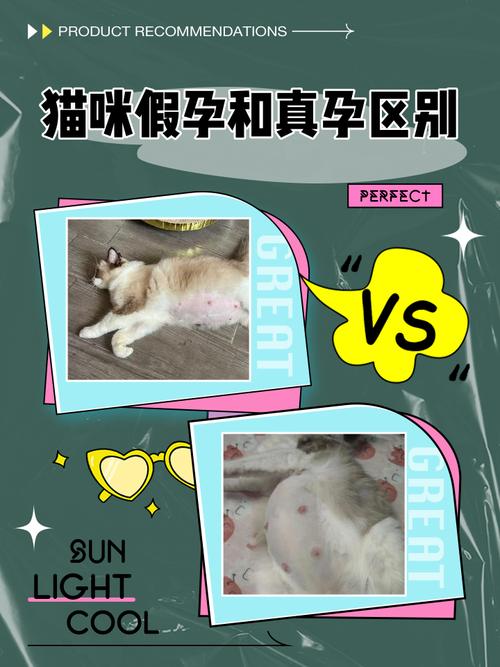 猫咪假孕和真孕区别-猫咪假孕和真孕的症状有什么区别