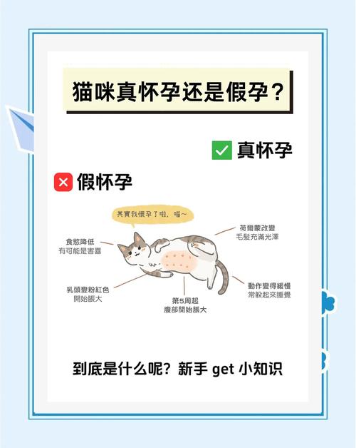 猫咪假孕和真孕区别-猫咪假孕和真孕的症状有什么区别-第6张图片 猫咪假孕和真孕区别-猫咪假孕和真孕的症状有什么区别-第6张图片