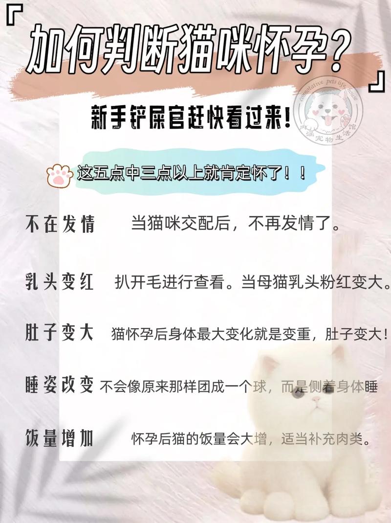 猫咪假孕和真孕区别-猫咪假孕和真孕的症状有什么区别-第7张图片 猫咪假孕和真孕区别-猫咪假孕和真孕的症状有什么区别-第7张图片