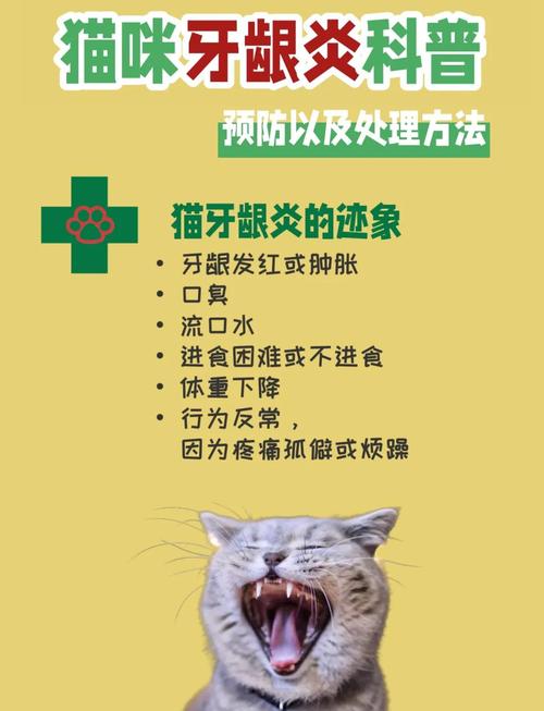 作为消费者“猫咪牙龈炎怎么治疗”你不能不知道-第4张图片 作为消费者“猫咪牙龈炎怎么治疗”你不能不知道-第4张图片
