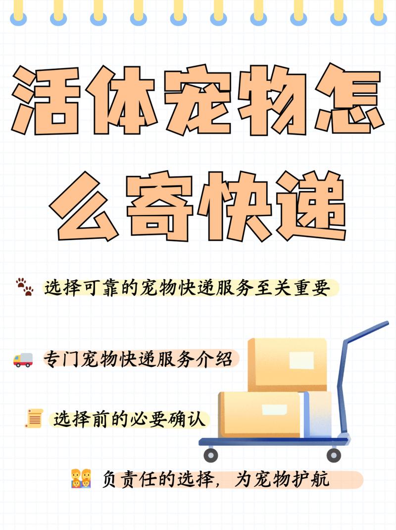 宠物邮寄-宠物邮寄最佳方法-第2张图片 宠物邮寄-宠物邮寄最佳方法-第2张图片