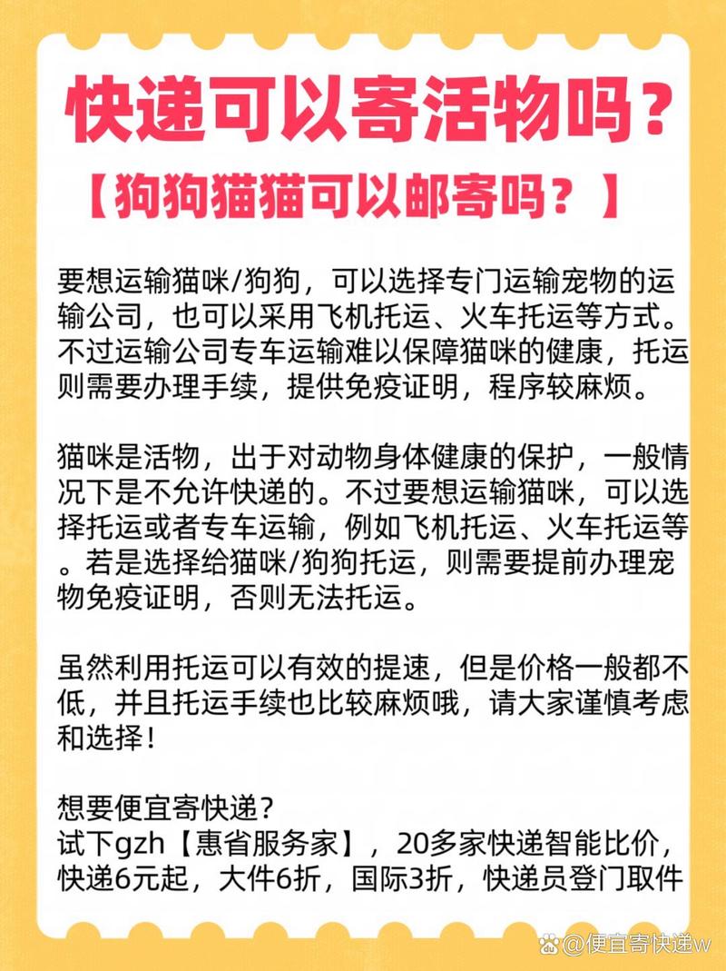 宠物邮寄-宠物邮寄最佳方法-第8张图片 宠物邮寄-宠物邮寄最佳方法-第8张图片