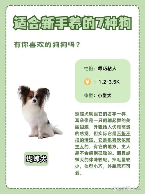 中华田园犬寿命-中华田园犬寿命排名-第1张图片 中华田园犬寿命-中华田园犬寿命排名-第1张图片