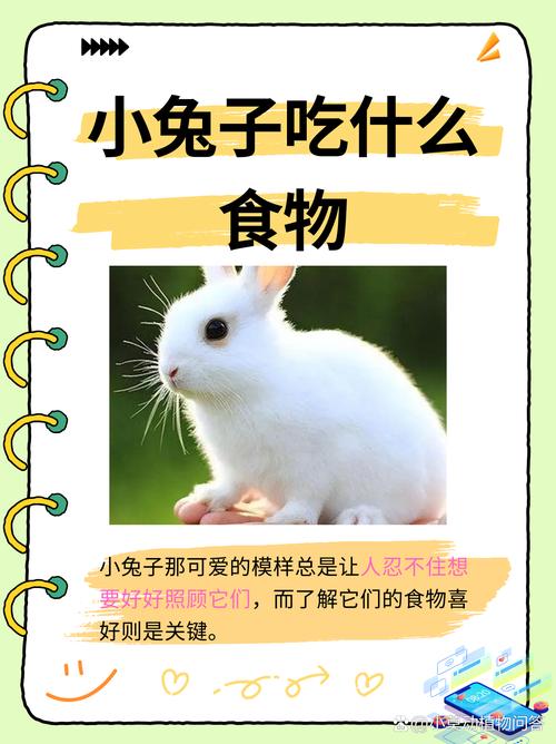 小兔子爱吃什么-兔子最爱吃的十种食物-第3张图片 小兔子爱吃什么-兔子最爱吃的十种食物-第3张图片