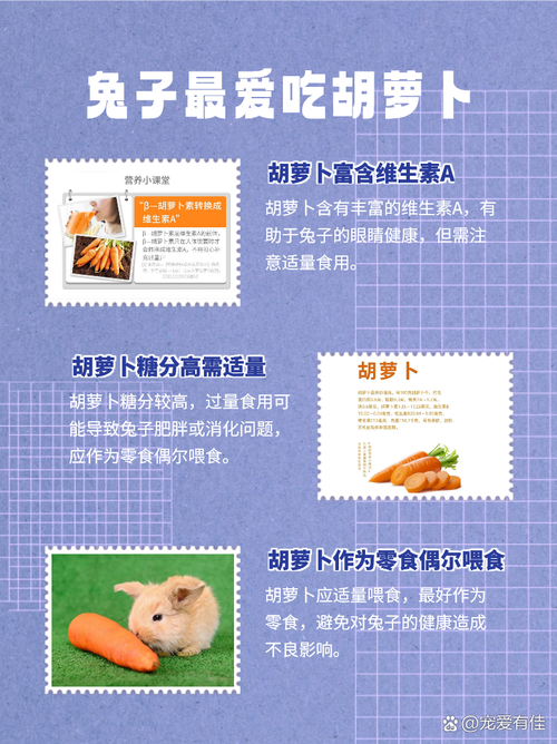 小兔子爱吃什么-兔子最爱吃的十种食物-第5张图片 小兔子爱吃什么-兔子最爱吃的十种食物-第5张图片