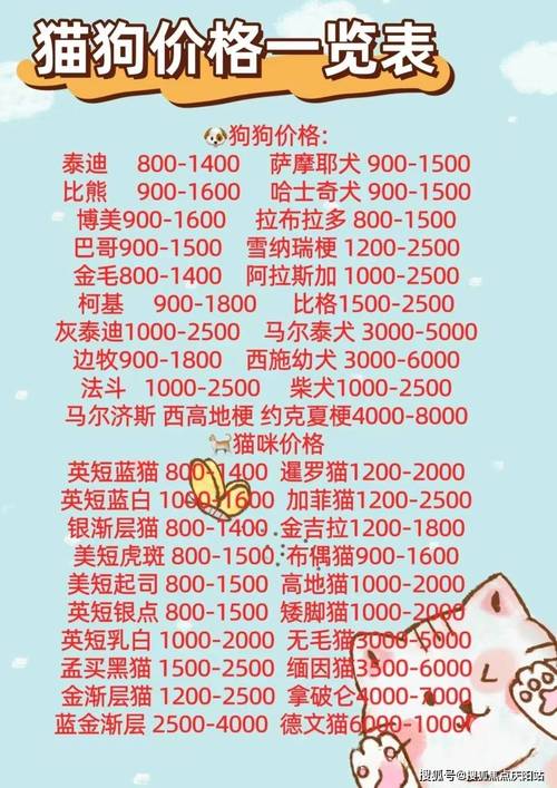 解析“博美纯种和不纯的多钱一只”你不知道的事