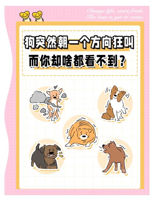 不会叫的狗,不会叫的狗咬人最狠-第1张图片 不会叫的狗,不会叫的狗咬人最狠-第1张图片