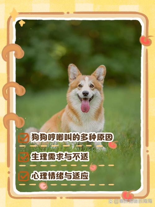 不会叫的狗,不会叫的狗咬人最狠-第4张图片 不会叫的狗,不会叫的狗咬人最狠-第4张图片