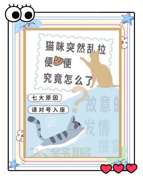 解析“猫咪会随地大小便吗”你不知道的事-第5张图片 解析“猫咪会随地大小便吗”你不知道的事-第5张图片