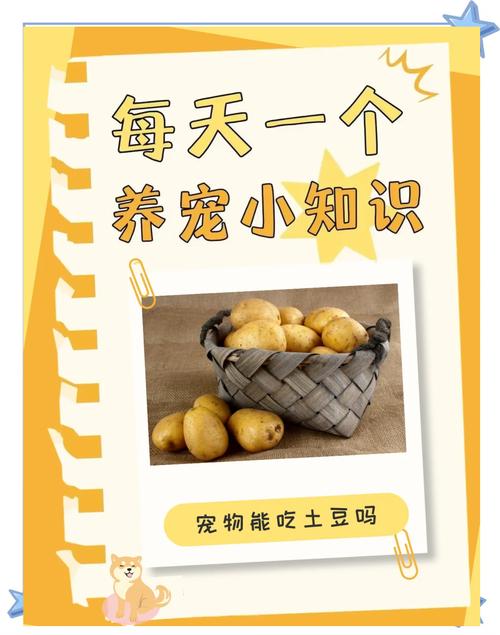 狗能不能吃土豆-狗能不能吃土豆?-第3张图片 狗能不能吃土豆-狗能不能吃土豆?-第3张图片
