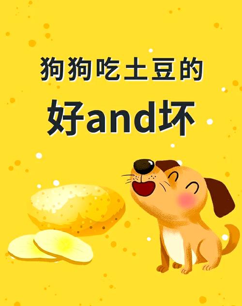 狗能不能吃土豆-狗能不能吃土豆?-第5张图片 狗能不能吃土豆-狗能不能吃土豆?-第5张图片
