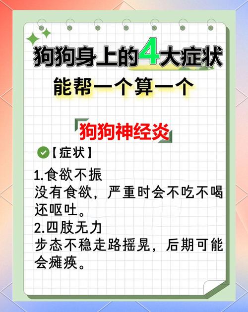 狗狗急性神经炎的症状/狗狗神经炎的症状视频-第2张图片 狗狗急性神经炎的症状/狗狗神经炎的症状视频-第2张图片