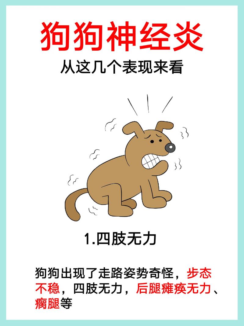 狗狗急性神经炎的症状/狗狗神经炎的症状视频-第3张图片 狗狗急性神经炎的症状/狗狗神经炎的症状视频-第3张图片