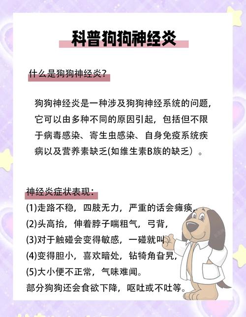 狗狗急性神经炎的症状/狗狗神经炎的症状视频-第4张图片 狗狗急性神经炎的症状/狗狗神经炎的症状视频-第4张图片