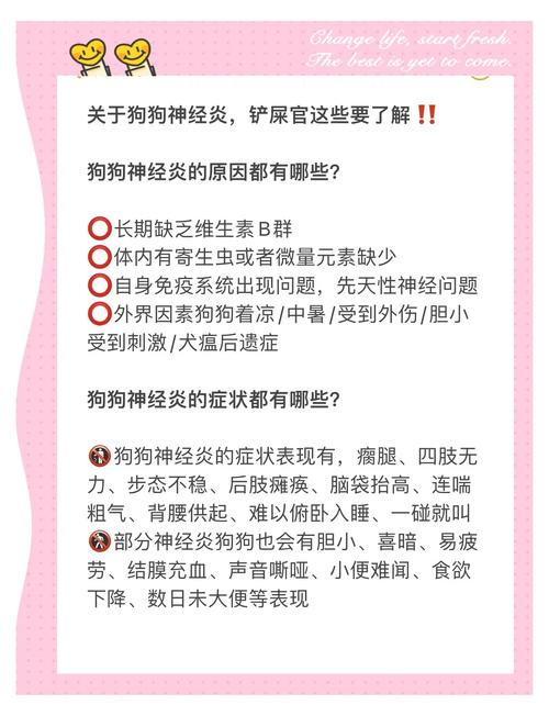 狗狗急性神经炎的症状/狗狗神经炎的症状视频-第9张图片 狗狗急性神经炎的症状/狗狗神经炎的症状视频-第9张图片