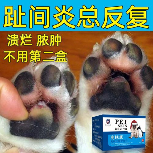 作为消费者“罗红霉素狗狗可以用吗”你不能不知道-第3张图片 作为消费者“罗红霉素狗狗可以用吗”你不能不知道-第3张图片